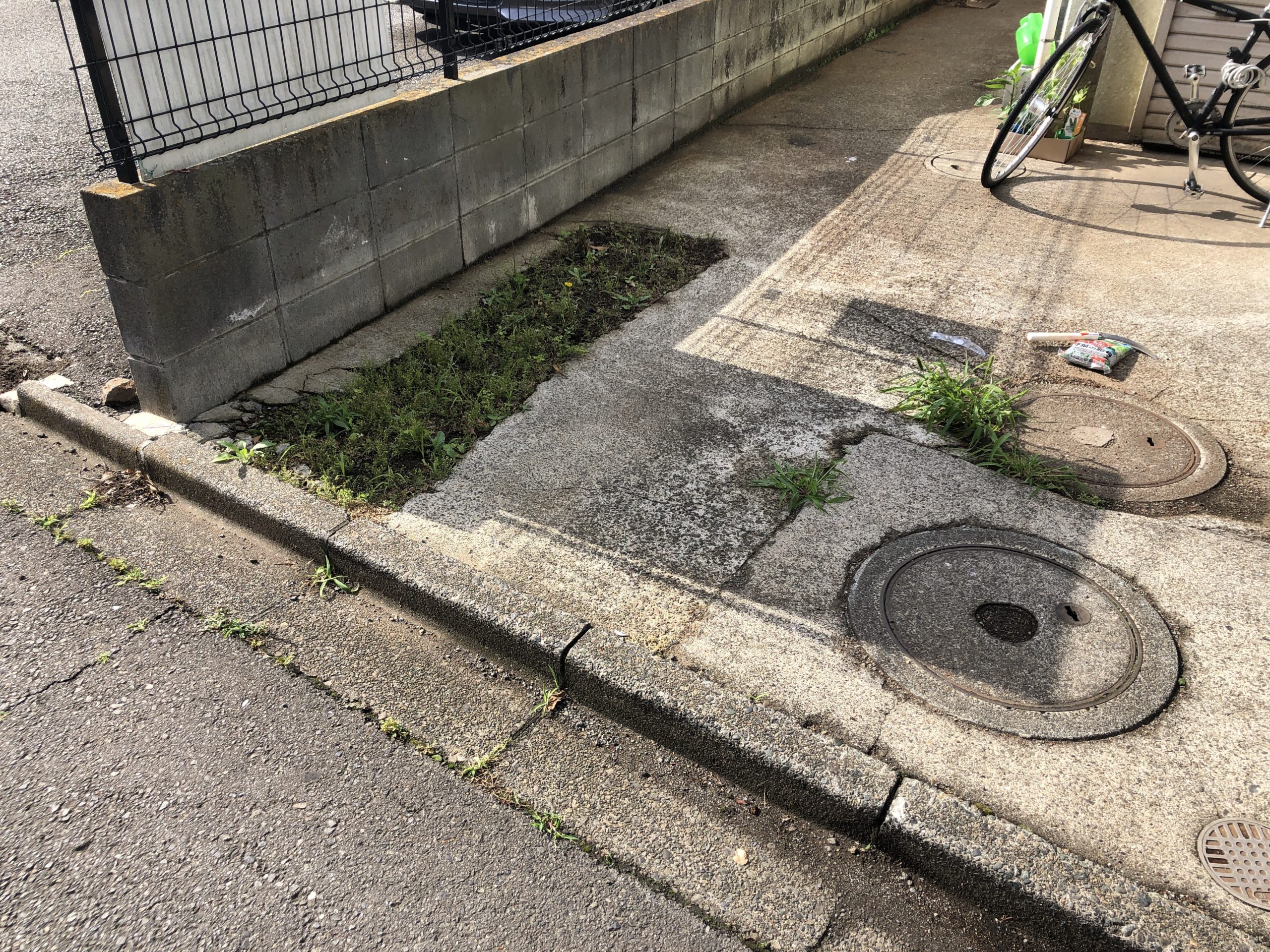 アトリエ周辺グルメ情報